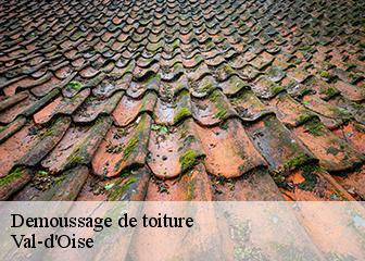 Demoussage de toiture