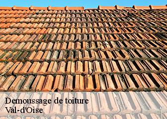 Demoussage de toiture Val-d'Oise