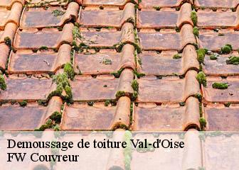 Demoussage de toiture Val-d'Oise 