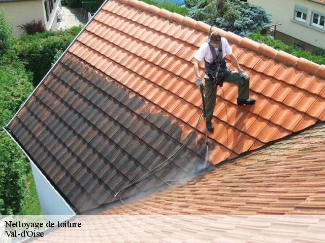 Nettoyage de toiture Val-d'Oise 