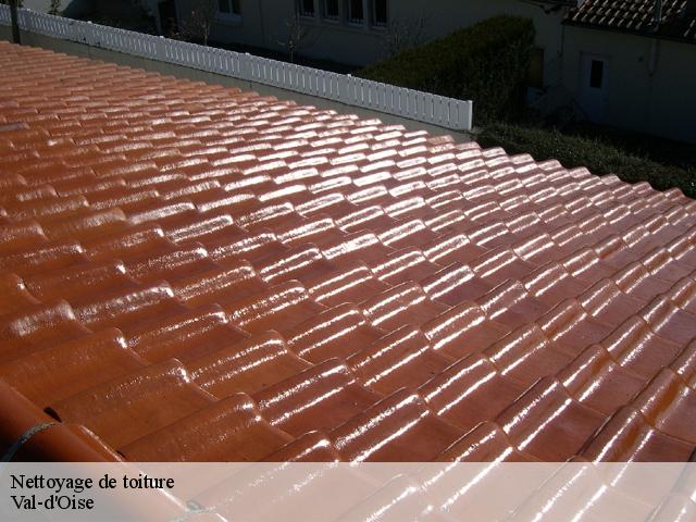 Nettoyage de toiture Val-d'Oise