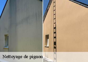 Nettoyage de pignon Val-d'Oise 