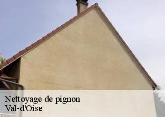 Nettoyage de pignon Val-d'Oise