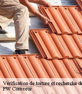 Vérification de toiture et recherche de fuite 95 Val-d'Oise  FW Couvreur