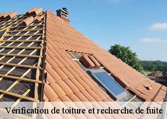 Vérification de toiture et recherche de fuite Val-d'Oise 
