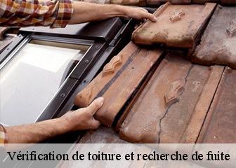 Vérification de toiture et recherche de fuite