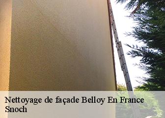 Nettoyage de façade 95270