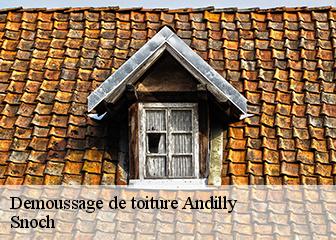 Demoussage de toiture 95580