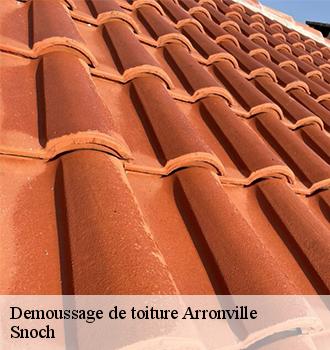 Demoussage de toiture arronville-95810 Snoch