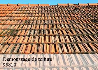 Demoussage de toiture 95810