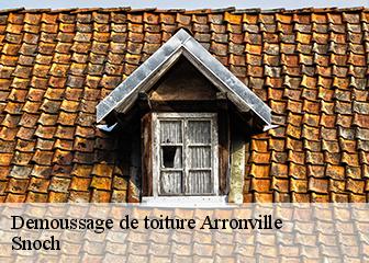 Demoussage de toiture 95810