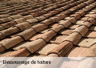 Demoussage de toiture 95810
