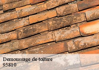 Demoussage de toiture 95810