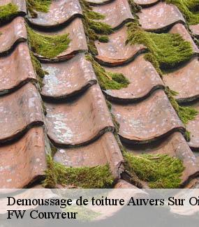 Demoussage de toiture  auvers-sur-oise-95430 FW Couvreur
