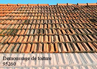 Demoussage de toiture  95260