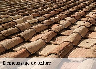 Demoussage de toiture  95260