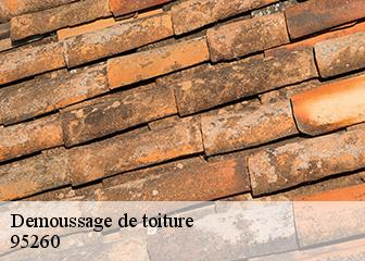 Demoussage de toiture  95260