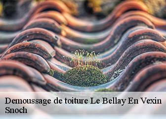 Demoussage de toiture