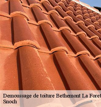 Demoussage de toiture bethemont-la-foret-95840 Snoch