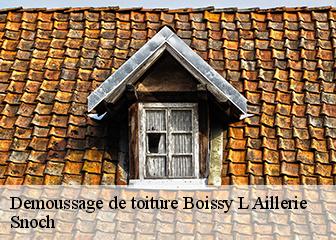 Demoussage de toiture 95650