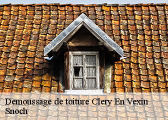 Demoussage de toiture 95420