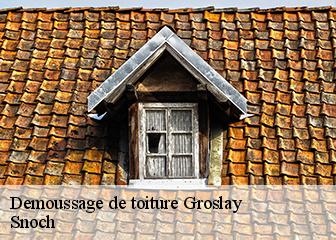 Demoussage de toiture 95410