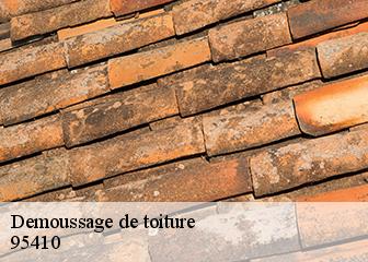 Demoussage de toiture 95410
