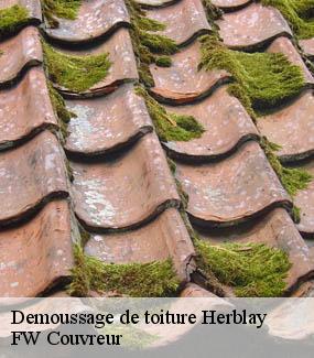Demoussage de toiture  herblay-95220 FW Couvreur