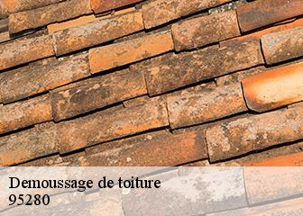 Demoussage de toiture 95280
