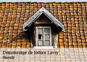 Demoussage de toiture 95270