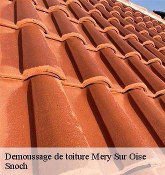 Demoussage de toiture mery-sur-oise-95540 Snoch