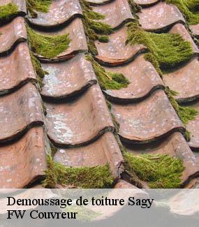 Demoussage de toiture  sagy-95450 FW Couvreur