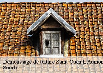 Demoussage de toiture  95310