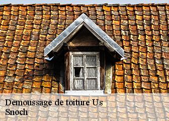 Demoussage de toiture 95450