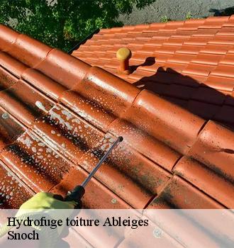 Hydrofuge toiture ableiges-95450 Snoch