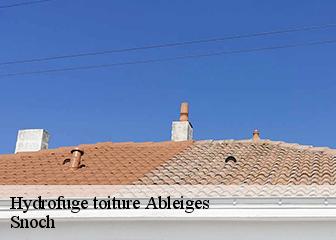 Hydrofuge toiture 95450