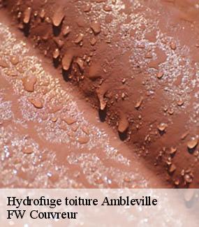 Hydrofuge toiture  ambleville-95710 FW Couvreur