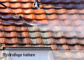 Hydrofuge toiture  95710