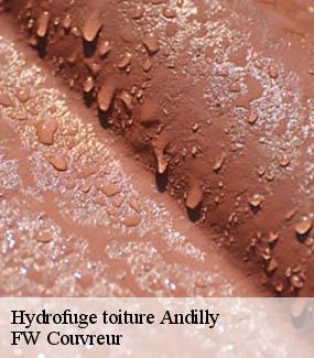 Hydrofuge toiture  andilly-95580 FW Couvreur
