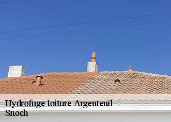Hydrofuge toiture 95100