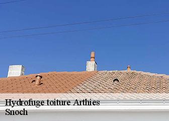 Hydrofuge toiture 95420