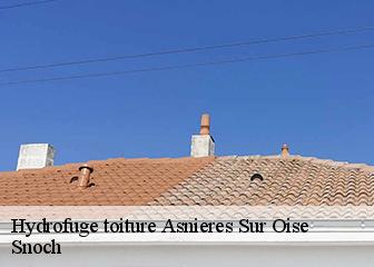 Hydrofuge toiture 95270