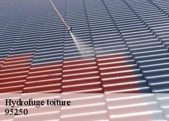 Hydrofuge toiture  95250