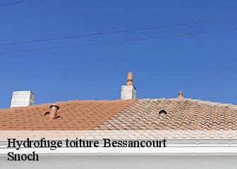 Hydrofuge toiture 95550
