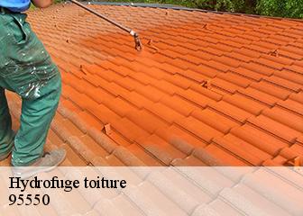 Hydrofuge toiture 95550
