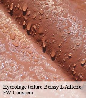 Hydrofuge toiture  boissy-l-aillerie-95650 SM Nettoyage