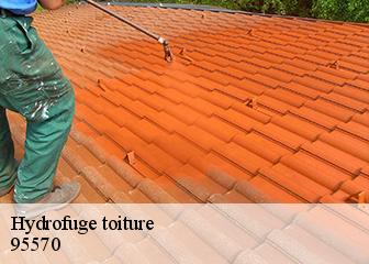 Hydrofuge toiture 95570