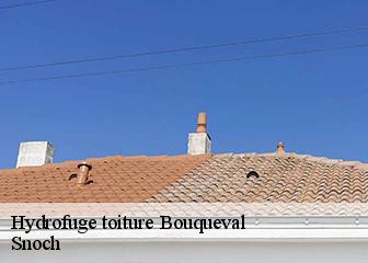Hydrofuge toiture 95720