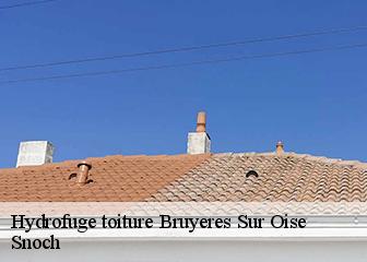 Hydrofuge toiture  95820