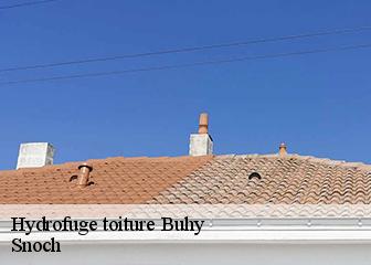 Hydrofuge toiture 95770
